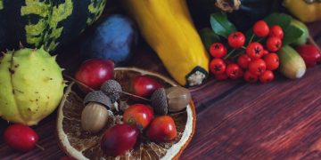 Plant-Based Boom: Is the US Trend Still Growing? - Cover Image