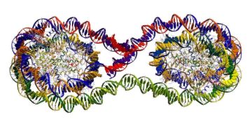 Personalized Nutrition: How DNA Testing Shapes US Diets - Cover Image