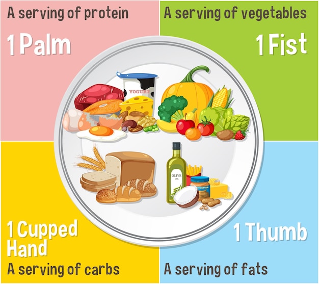A visual representation of the USDA's MyPlate, showing the relative proportions of different food groups (fruits, vegetables, grains, protein foods, and dairy) recommended for a balanced diet.