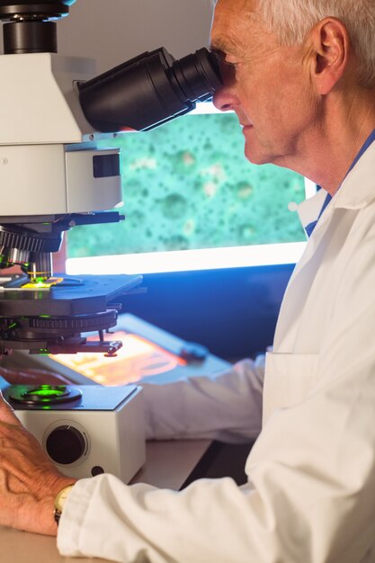 The Latest Advances in Cancer Treatment: Immunotherapy and Targeted Therapies
