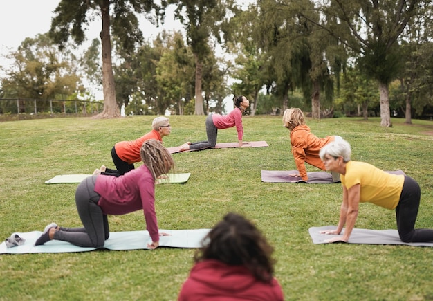 A group of older adults participating in a gentle exercise class in a park, with an instructor leading them in stretches.