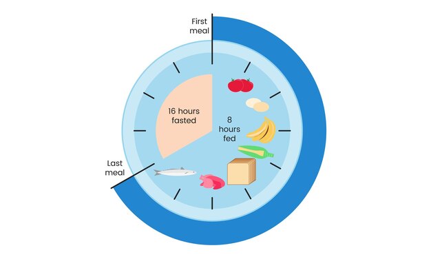 A visual representation of different intermittent fasting methods, including 16/8, 5:2, and Eat-Stop-Eat, displayed in an infographic format.