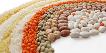 Plant-Based vs Animal Protein: Optimize Muscle & Health? - Cover Image