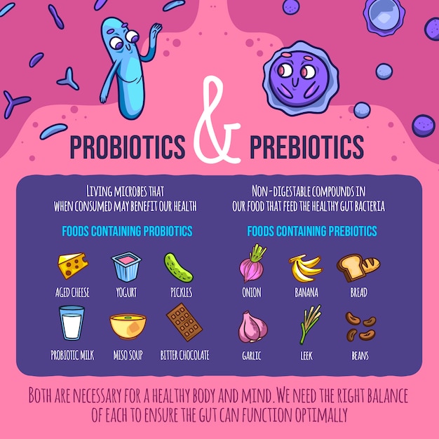A visual guide illustrating the differences between various probiotic strains and their specific benefits for different types of IBS (IBS-D, IBS-C, IBS-M).