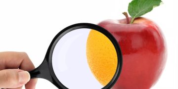 The Updated 2025 Guide to Food Labels: Calories, Macros, and Sugars - Cover Image