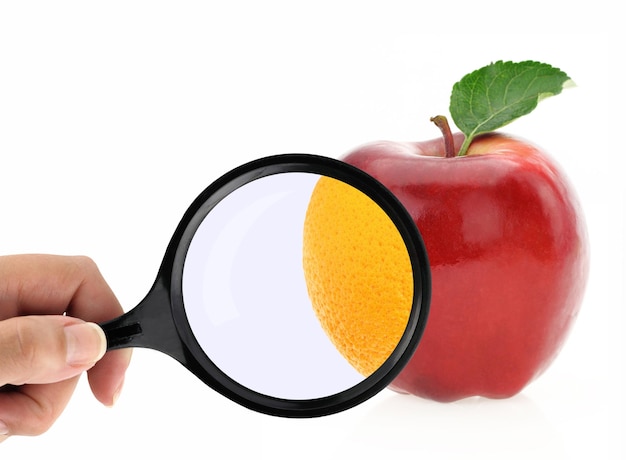 The Updated 2025 Guide to Food Labels: Calories, Macros, and Sugars