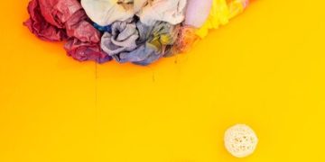 Boost Your Brainpower: The 5 Best Foods to Enhance Memory - Cover Image